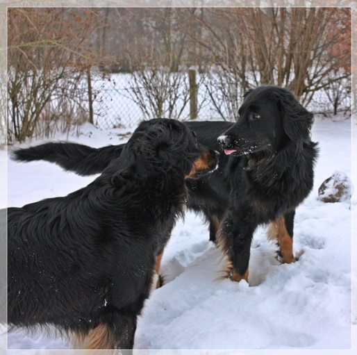 Ishtar mit Amy Jan 2010